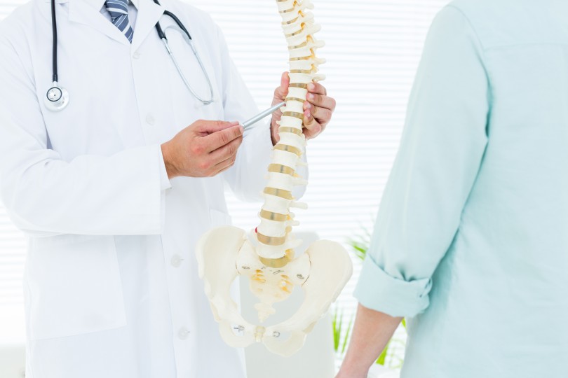 Spine Spine
