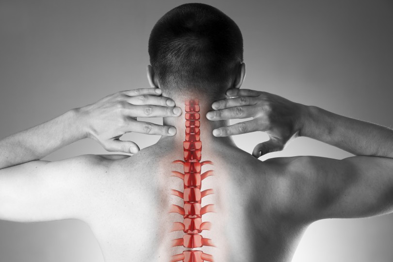 Spine Spine