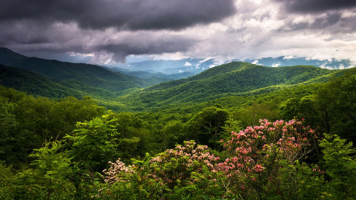 smokies1